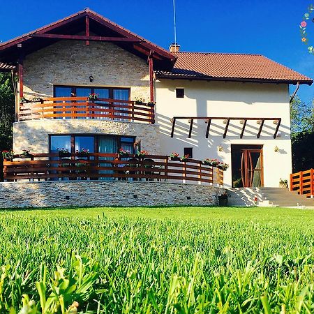 Pensiunea Casa Florela Capusu Mic Exteriér fotografie