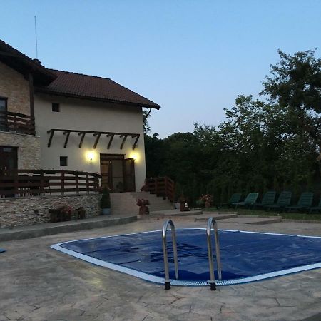 Pensiunea Casa Florela Capusu Mic Exteriér fotografie