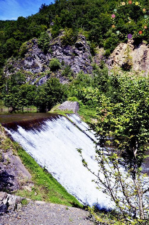 Pensiunea Casa Florela Capusu Mic Exteriér fotografie