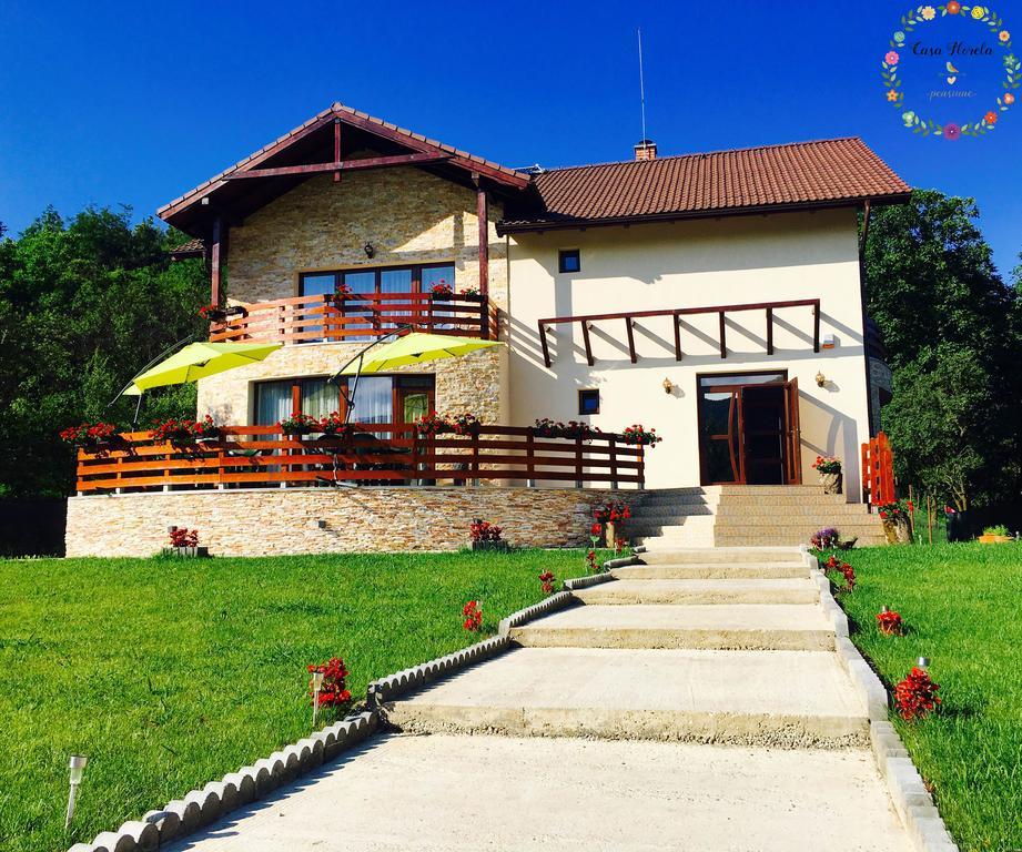 Pensiunea Casa Florela Capusu Mic Exteriér fotografie